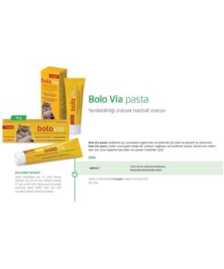 Genel Markalar bolvia pasta