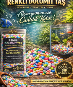 Genel Markalar Akvaryum Teraryum Fanus Süsleme Bahçe Süs Dekor Renkli Çakıl Taşı 2 Kg