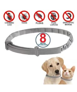 ebulduk Kedi-Köpek Anti Pire Kene Önleyici Tasma- 38 Cm Pire Önleyici Tasma-Kene Önleyici Tasma