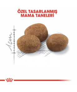 Alternative view of Royal Canin Sterilised Kısırlaştırılmış 7 Yaş Ve Üzeri Kediler Için Kuru Kedi Maması 3.5kg