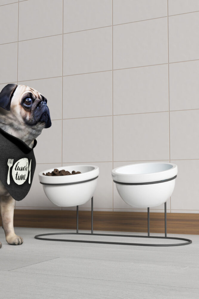 Dekula 2'Li Seramik Mama Ve Su Kabı Metal Standlı Kedi Köpek Mama Kabı Evcil Hayvan Mama Kasesi - Görsel 2