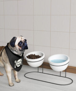 Dekula 2'Li Seramik Mama Ve Su Kabı Metal Standlı Kedi Köpek Mama Kabı Evcil Hayvan Mama Kasesi
