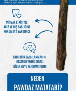 pawdaz Matatabi - Stick (KALIN - 3'LÜ) Diş Temizlemeye Ve Stres Gidermeye Yardımcı Doğal Oyuncak - Görsel 3