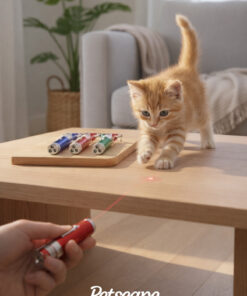 Petscape Renkli 3in1 Lazer Kedi Oyuncağı - Lazer, Işık, Yanıp Sönen Işık - Görsel 3