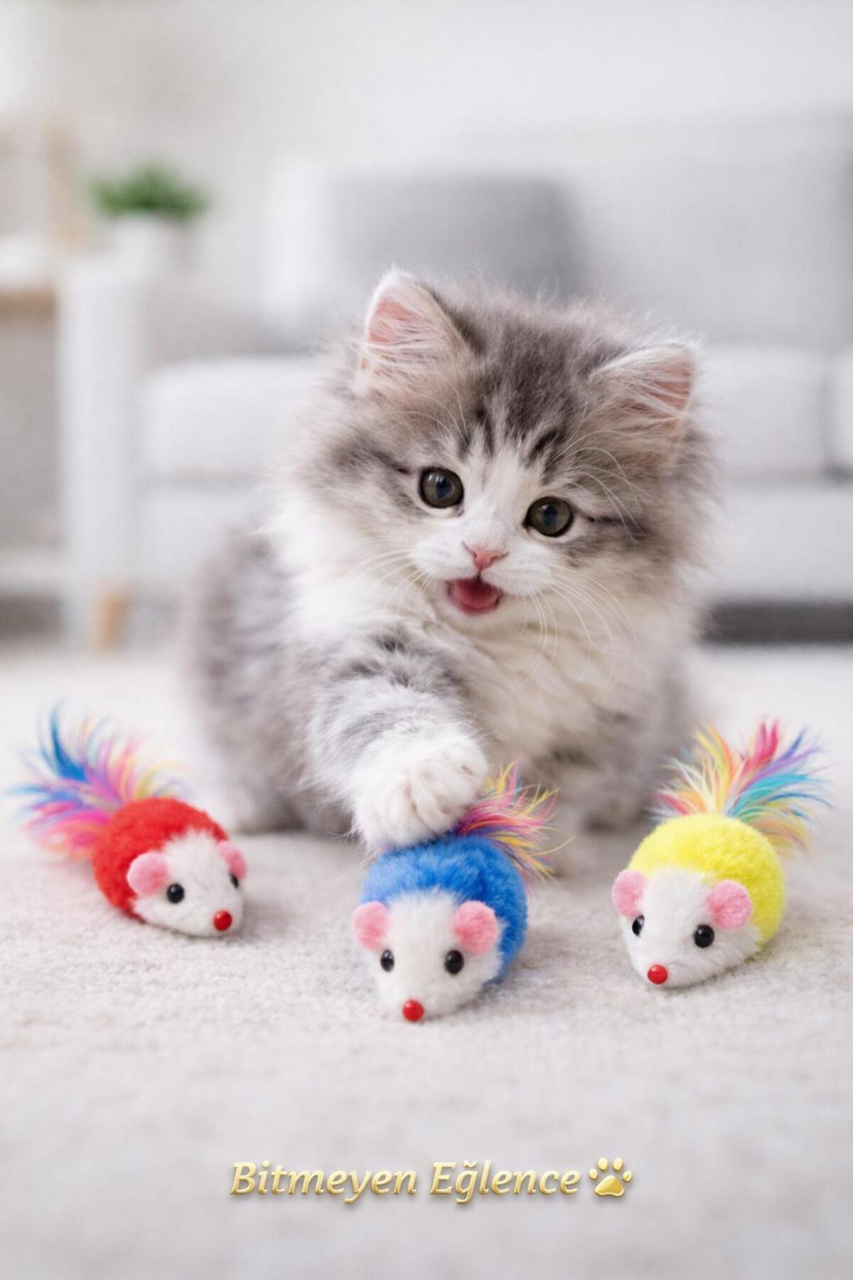 HAYHAYPETSHOP Kedi Oyuncağı 5’li Renkli Peluş Fare Seti Tüylü Fareli Eğlence Oyuncağı Yavru ve Yetişkin Kediler