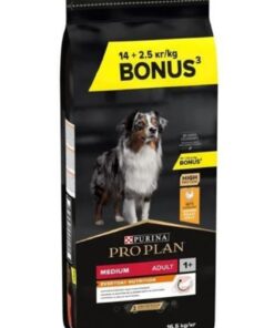 Pro Plan Proplan Medium Adult Tavuklu Yetişkin Köpek Maması 16,5 kg