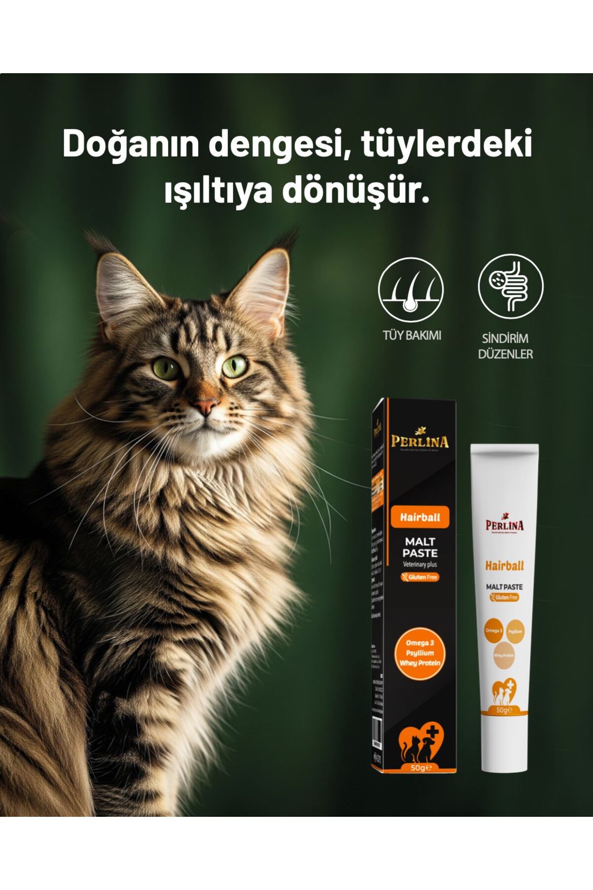 Tonton Mısır Koçanı Granülü Topaklaşan Doğal Kedi Kumu 8 Lt x 4 ADET - Görsel 3