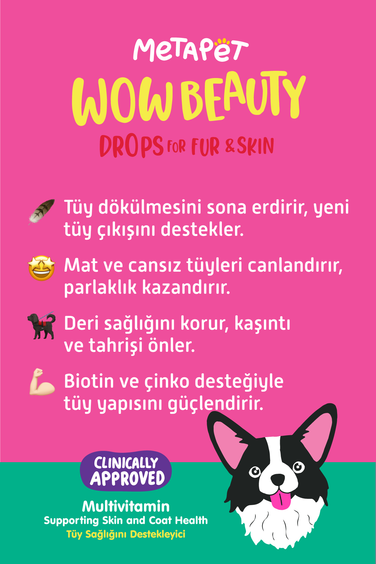 Metapet Tüy Döken Köpeklere - Biotin Sağlığı Damlası, Dökülmesi Engelleyici Önleyici, Dökmeme Için Vitamini - Görsel 3