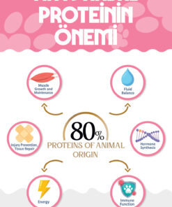 Natural Nutrition PREMIUM Tavuklu Kuru Yavru Kedi Maması 2 kg Kitten-Mother-Baby - Görsel 3