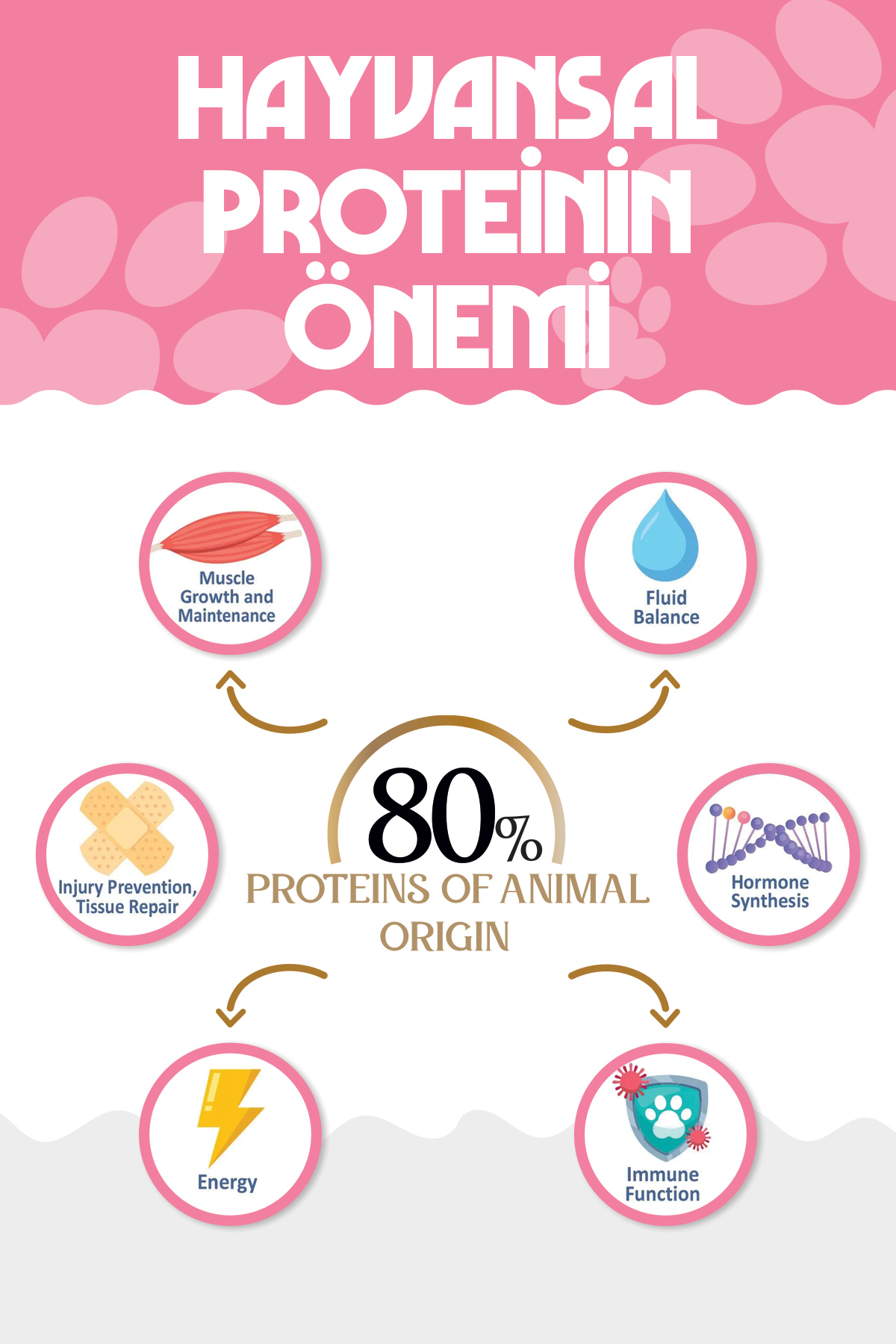 Natural Nutrition PREMIUM Tavuklu Kuru Yavru Kedi Maması 2 kg Kitten-Mother-Baby - Görsel 3