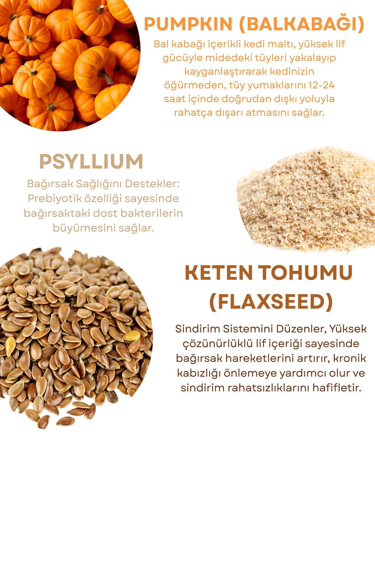 Pavika Tüy Yumağı Engelleyici, Kedilerde Sindirim Problemleri Azaltıcı Veteriner Önerili Kedi Maltı 100 gr - Görsel 3