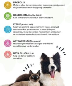Alternative view of patiografya Premium Immune C Kedi Ve Köpek Için Bağışıklık Sistemini Destekleyen Tablet