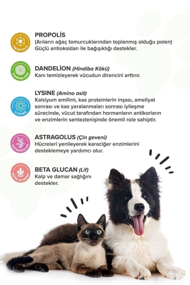 patiografya Premium Immune C Kedi Ve Köpek Için Bağışıklık Sistemini Destekleyen Tablet - Görsel 2
