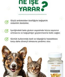 patiografya Premium Immune C Kedi Ve Köpek Için Bağışıklık Sistemini Destekleyen Tablet - Görsel 3