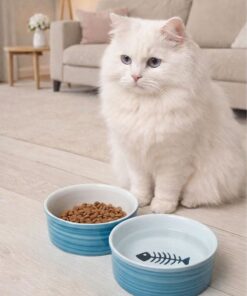ŞURAMUTFAK 2 Li Seramik Kedi Mama ve Su Kabı 300ml - Görsel 3
