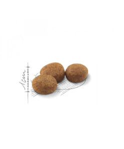 Alternative view of Royal Canin Sterilised37 Kısırlaştırılmış Kediler Için Kuru Kedi Maması 400g