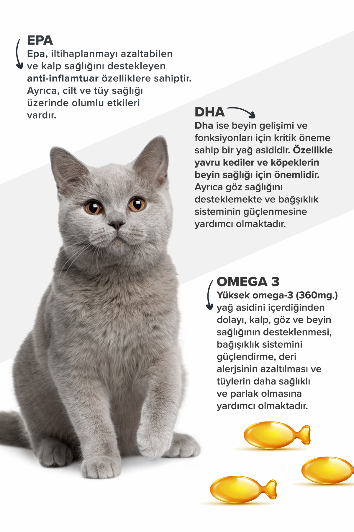 patiografya Premium Kedi Ve Köpek Için Omega 3 Ve 6 Içerikli Balık Yağı- Bağışıklık Sistemi Tüy Bakımı - Görsel 3