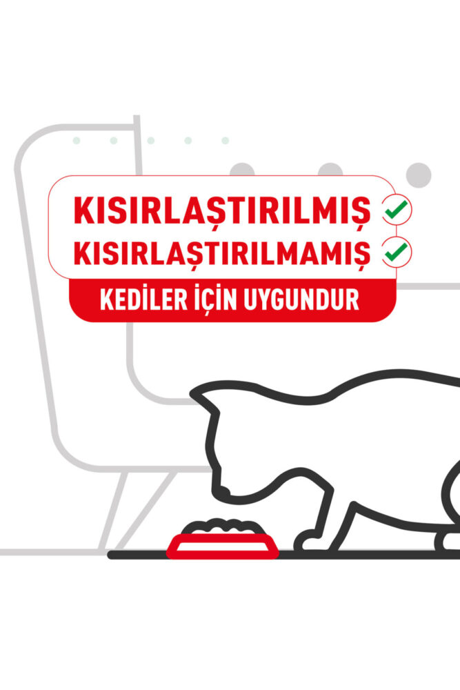 Royal Canin Hairball Tüy Yumağı Önleyici Yetişkin Kedi Maması 2 Kg - Görsel 2