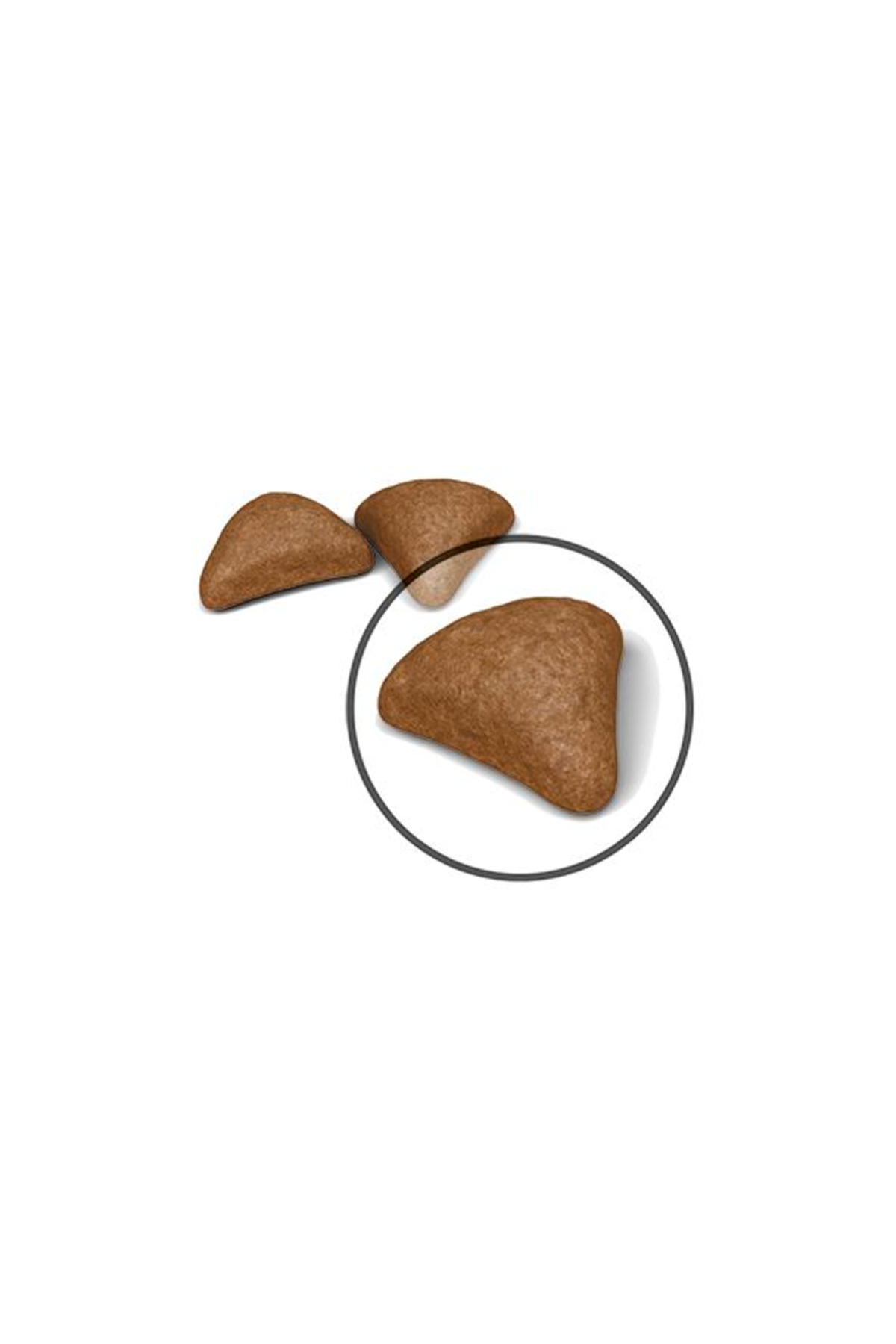 Royal Canin Hairball Tüy Yumağı Önleyici Yetişkin Kedi Maması 2 Kg - Görsel 3