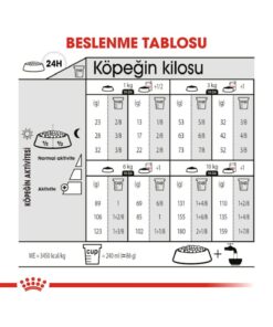 Royal Canin Mini Sterilised Yetişkin Kısırlaştırılmış Köpek Maması 3 Kg - Görsel 3