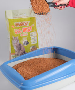 Olivacat Zeytin Çekirdeğinden Üretilen Aktif Karbonlu Tozsuz Doğal Kedi Kumu 8 L - Görsel 3