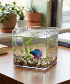Melkan Home Premium Kristal Küp Nano Akvaryum & Beta Fanusu 20x20x20 cm 7 Litre - Karides ve Balık Akvaryumu - Görsel 3