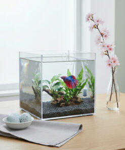 Alternative view of Melkan Home Premium Kristal Küp Nano Akvaryum & Beta Fanusu 20x20x20 cm 7 Litre - Karides ve Balık Akvaryumu