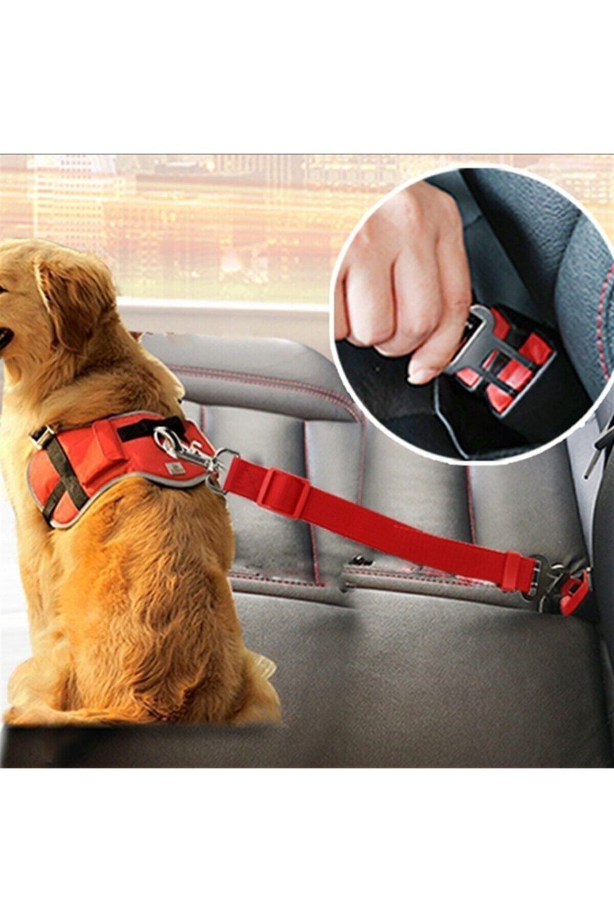 AYACO Evcil Hayvan Araç Emniyet Kemeri Kedi Köpek Araba Oto Tasması Oto Aksesuarı Kedi Köpek Emniyet Kemer