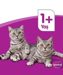 Whiskas Tavuklu Kısırlaştırılmış Kedi Maması 1.4 Kg - Görsel 3