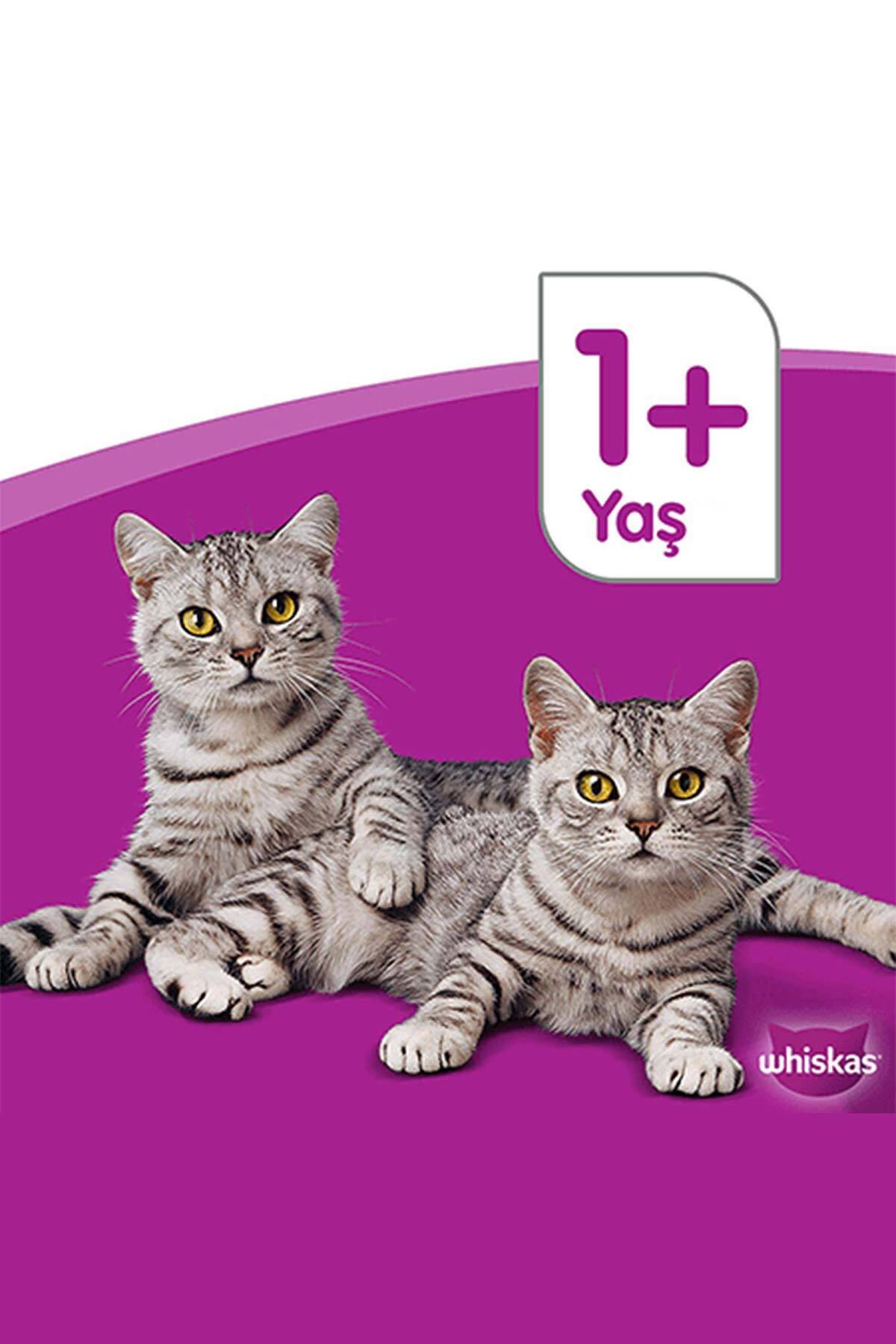 Whiskas Tavuklu Kısırlaştırılmış Kedi Maması 1.4 Kg - Görsel 3
