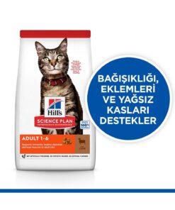 Hill's Hills Kuzulu Yetişkin Kuru Kedi Maması 3 Kg