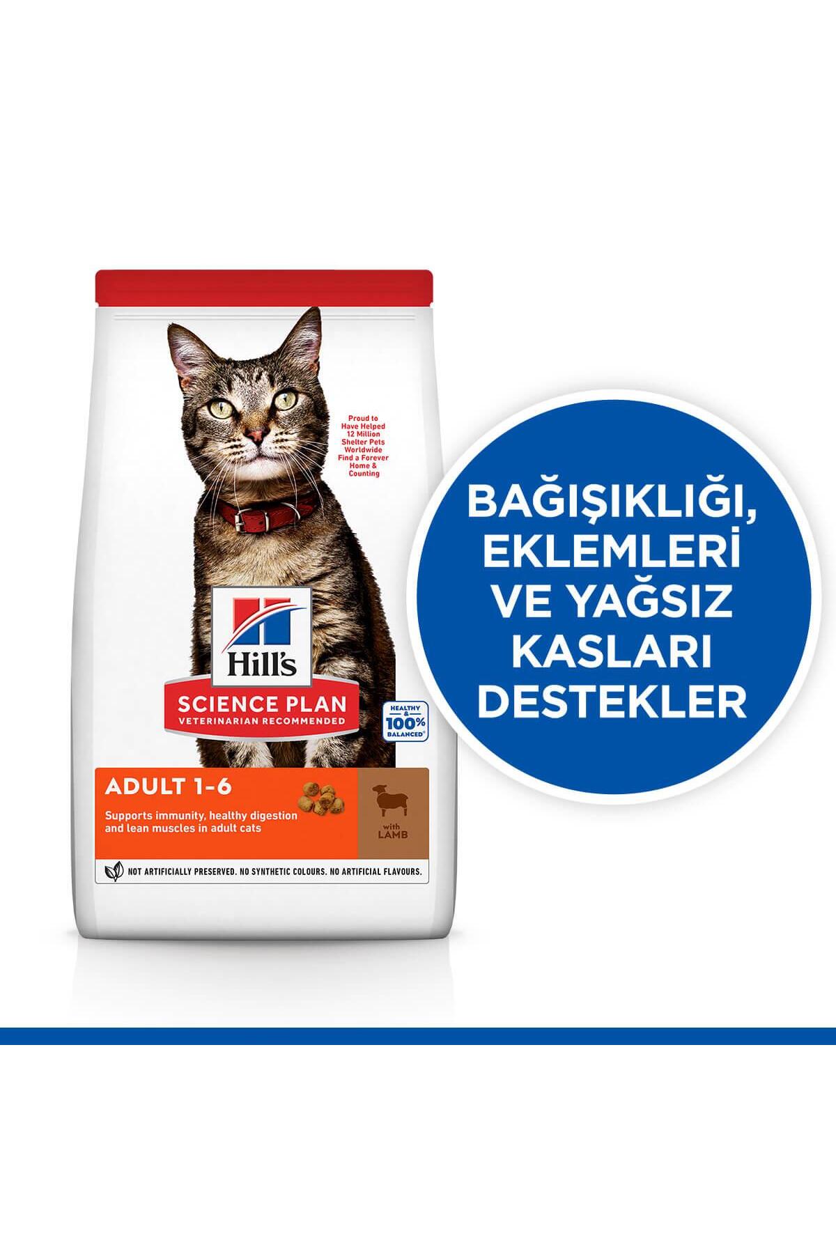 Hill's Hills Kuzulu Yetişkin Kuru Kedi Maması 3 Kg
