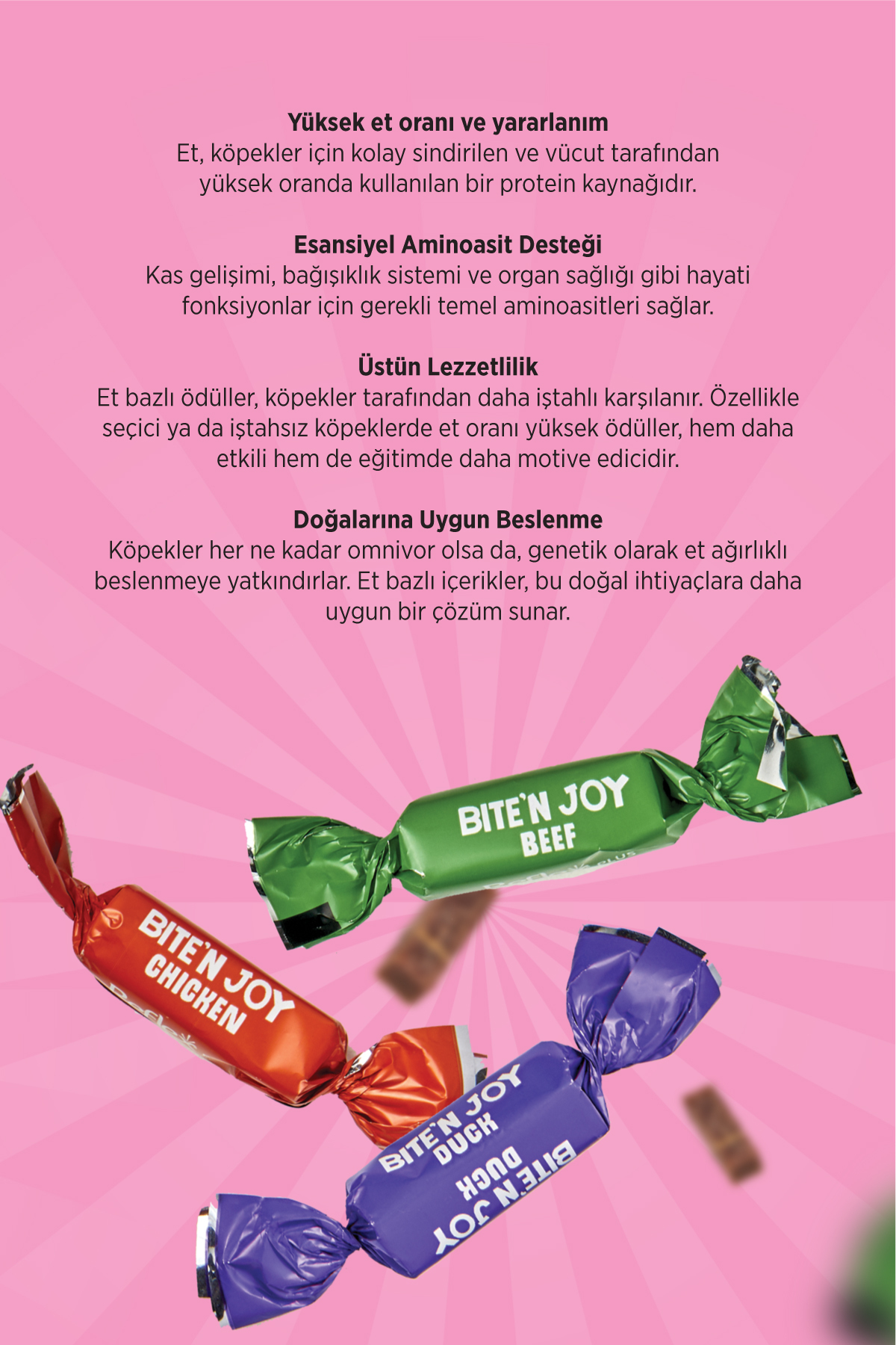 Reflex Plus Bite'n Joy - Dana Etli, Tavuklu ve Ördek Etli Köpek Ödül Maması 250g - Görsel 3