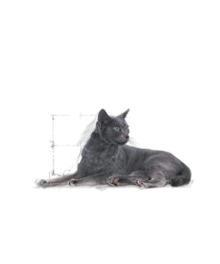 Royal Canin Sterilised Kısırlaştırılmış 7 Yaş Ve Üzeri Kediler Için Kuru Kedi Maması 1.5kg - Görsel 3