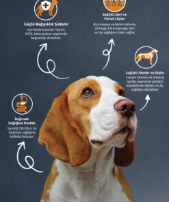 Alternative view of Reflex Kuzu Etli ve Pirinçli Yetişkin Köpek Maması 10 kg