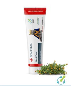 Benifital Royal Paste 100 gr British Ve Scottish Fold Eklem Ve Kas Sistem Destekleyici Premium Malt - Görsel 3