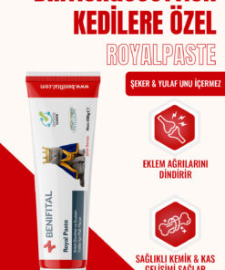Benifital Royal Paste 100 gr British Ve Scottish Fold Eklem Ve Kas Sistem Destekleyici Premium Malt