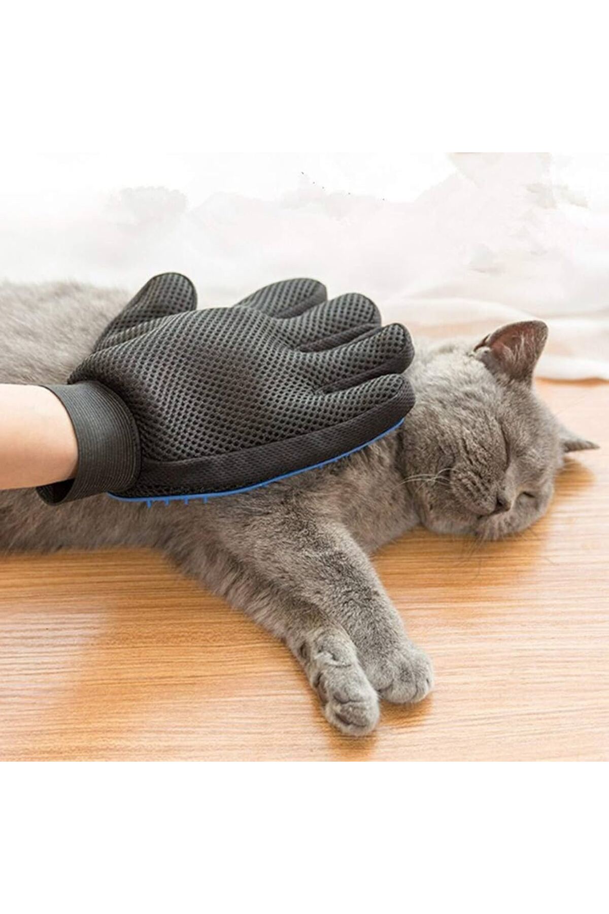 Genel Markalar Masaj Etkili Mavi Kedi Köpek Tüy Toplama Eldiveni Evcil Hayvan Tüy Tarağı Eldiveni