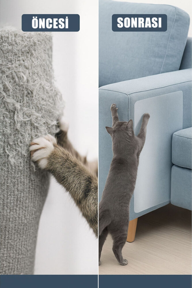 Arnee Kedi Koltuk Tırmalama Koruyucu 20x50 Cm Şeffaf Yapışkanlı Mobilya Tırmalama Önleyici Koruma Bandı - Görsel 2