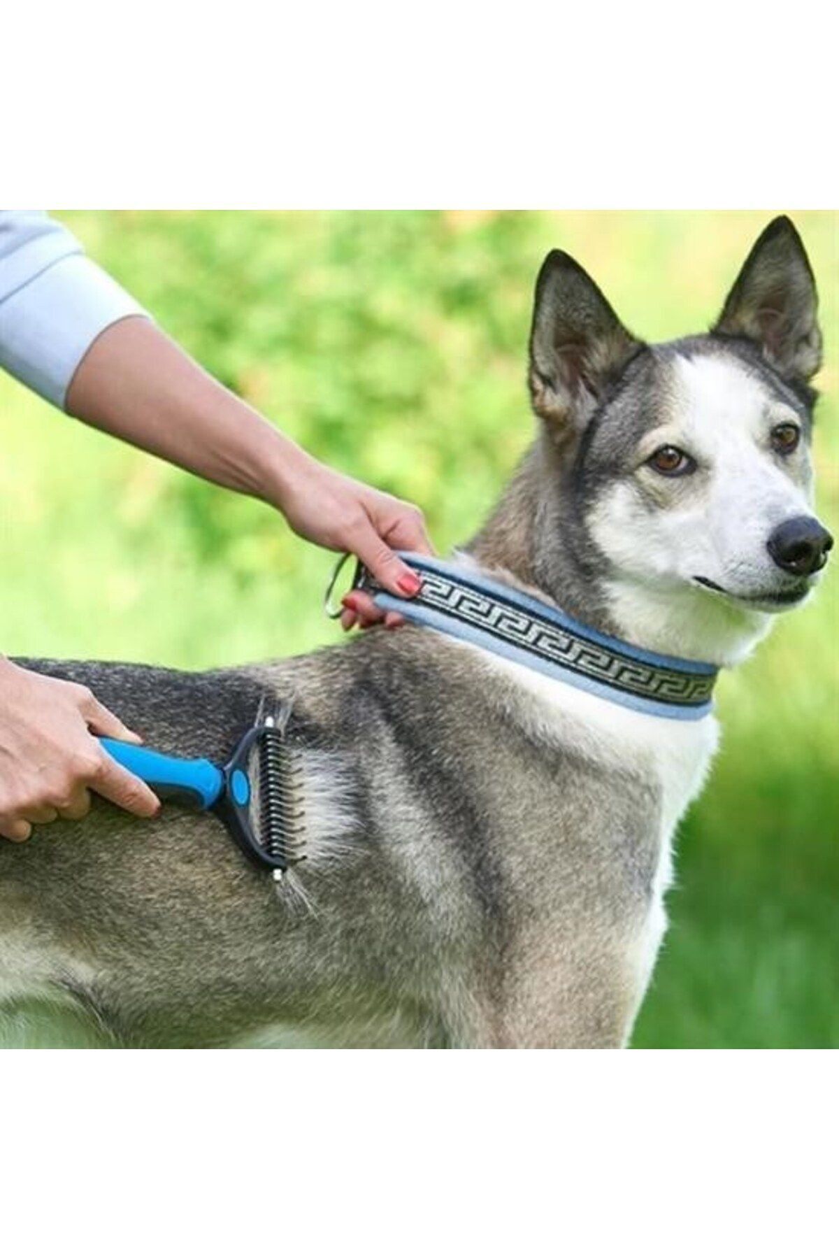 Roichil Plastik Saplı Metal Kedi Köpek Bakım Kıtık Tüy Topak Açıcı Tarak - Görsel 3