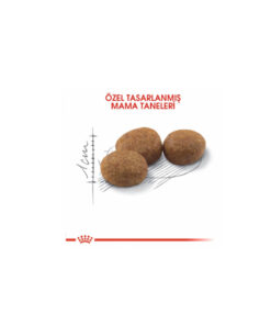 Alternative view of Royal Canin Fhn Sterilised 37 Kısırlaştırılmış Kedi Maması 4 Kg Ptanna251100066