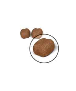 Royal Canin Dental Care Ağız ve Diş Sağlığı için Kedi Maması 1.5 Kg - Görsel 3