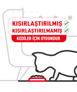 Alternative view of Royal Canin Dental Care Ağız ve Diş Sağlığı için Kedi Maması 1.5 Kg