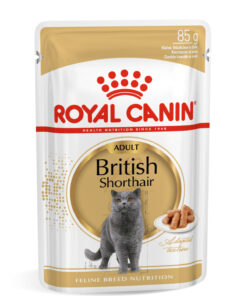 Royal Canin British Shorthair Yaş Kedi Maması 12 Adet x 85 gr - Görsel 3