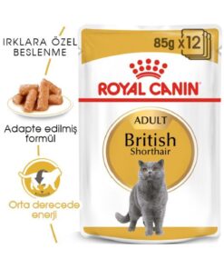 Royal Canin British Shorthair Yaş Kedi Maması 12 Adet x 85 gr