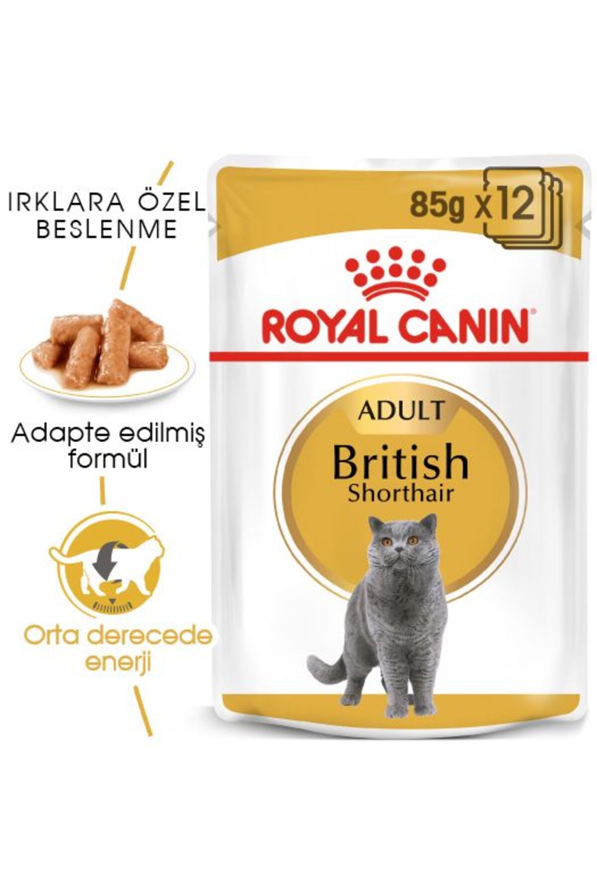 Royal Canin British Shorthair Yaş Kedi Maması 12 Adet x 85 gr