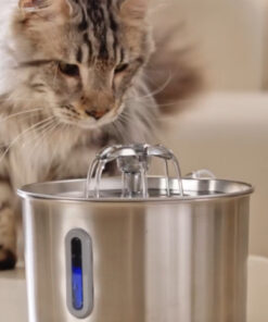Aryuper Su Seviyesi Göstergeli 2.2 L Paslanmaz Çelik Kedi Köpek Için Su Pınarı Su Çeşmesi Su Sebili Bp02 - Görsel 3