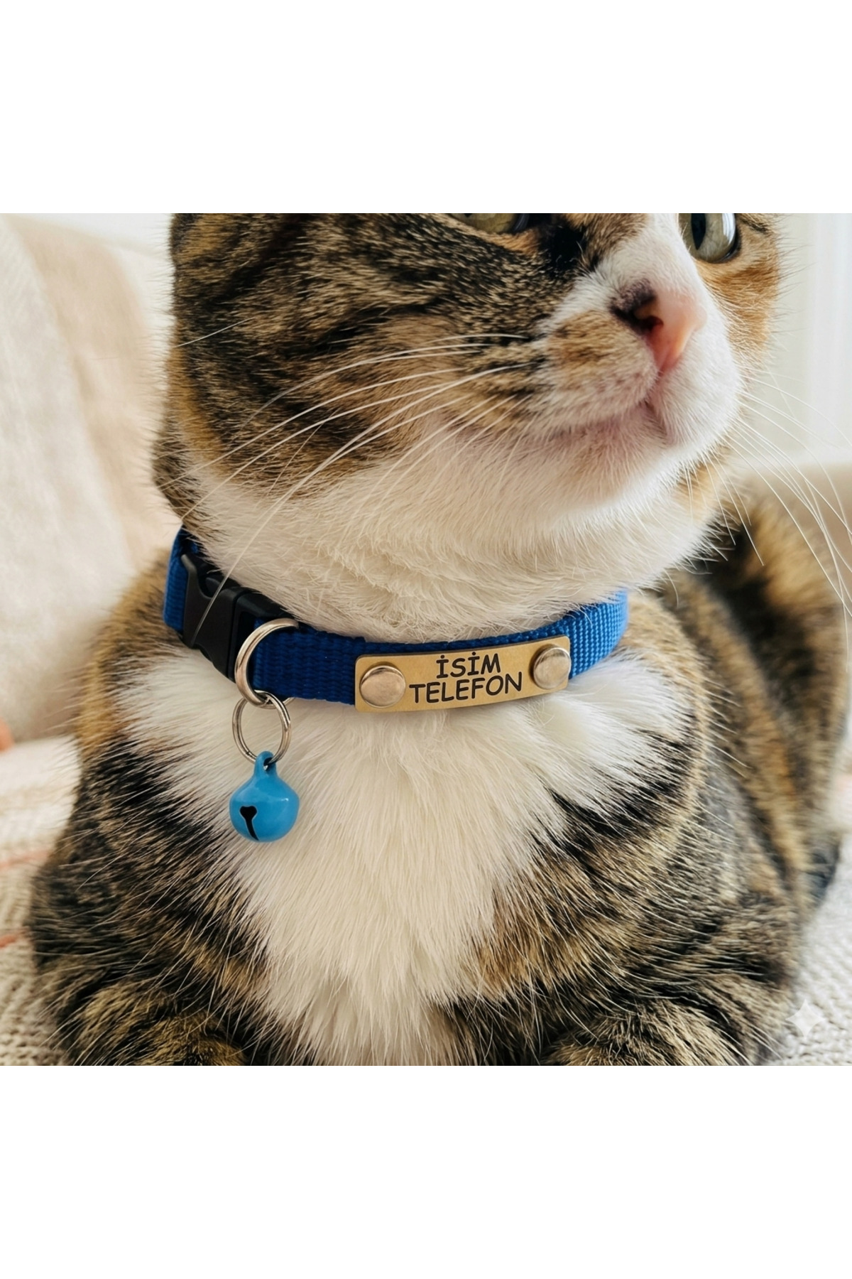 hebmeyy Kedi Tasması, Isimlikli Kedi Tasması, Kedi Künye Tasma, Kaybolursam Ara Tasma