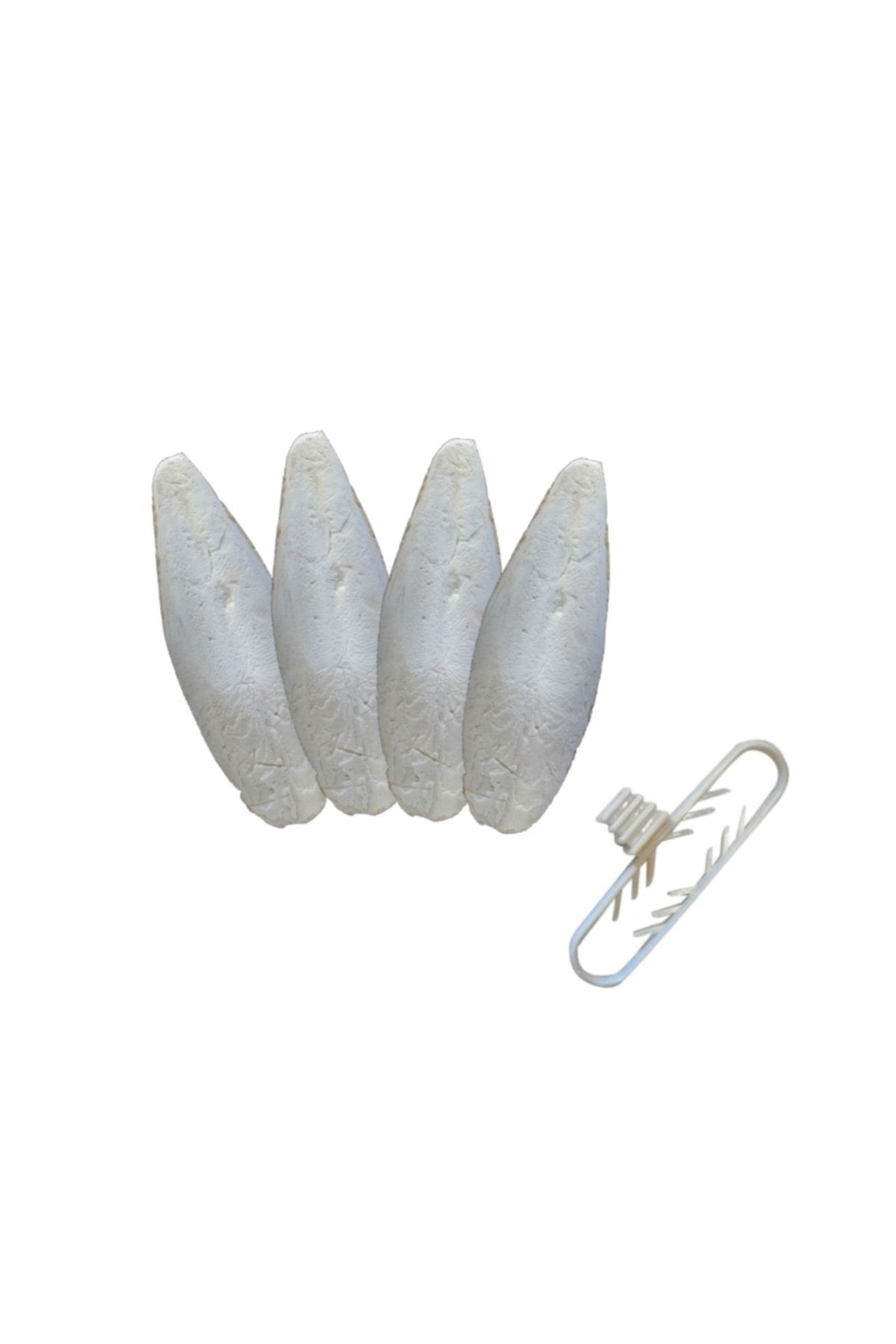 Genel Markalar 4 Adet Temizlenmiş Mürekkep Balığı (KALAMAR) Kemiği 7-8cm Ve Tutacak