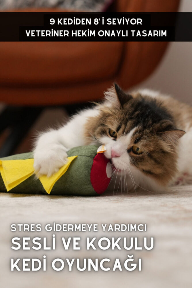 pawdaz Matatabi - Dino (40X12CM) Bol Sesli, Bol Kokulu Kedi Oyuncağı - Görsel 2